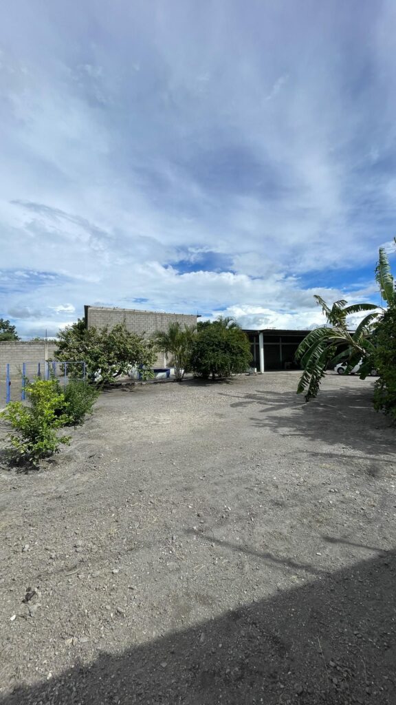 WhatsApp-Image-2026-01-29-at-3.17.09-PM-1