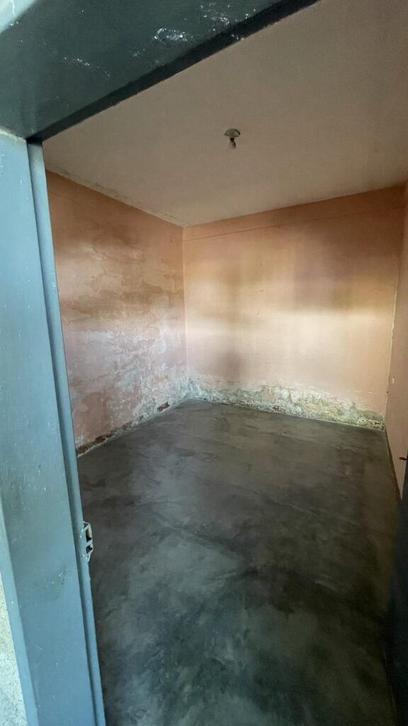 WhatsApp-Image-2026-01-29-at-3.17.10-PM-1