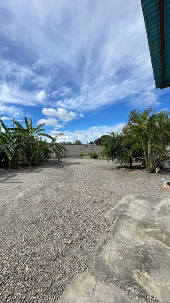 WhatsApp-Image-2026-01-29-at-3.17.10-PM-2