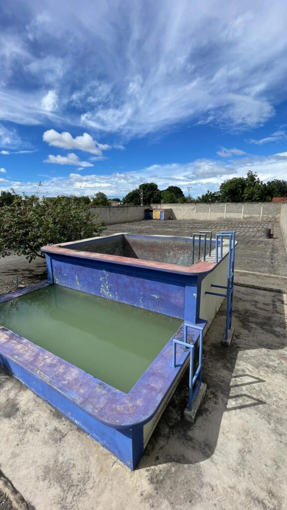 WhatsApp-Image-2026-01-29-at-3.17.10-PM-5