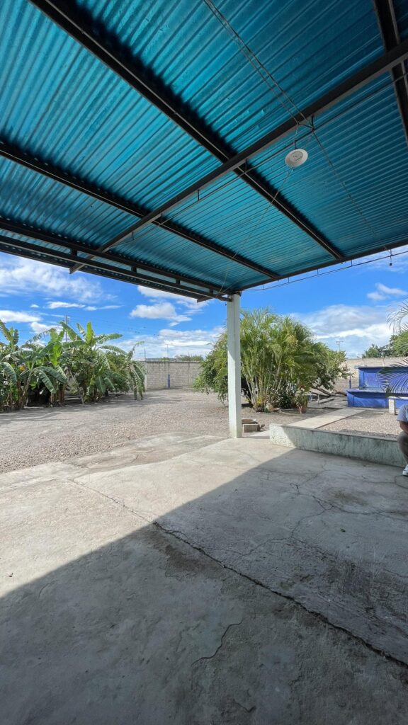 WhatsApp-Image-2026-01-29-at-3.17.10-PM-8